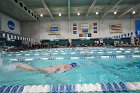 Swim vs Bentley  Wheaton College Swimming & Diving vs Bentley University. - Photo by Keith Nordstrom : Wheaton, Swimming & Diving